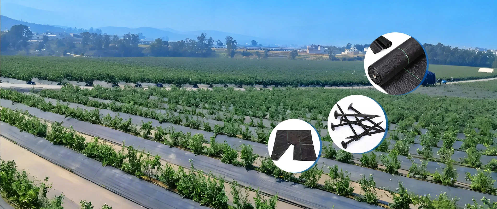 Chine Fabricant de tissu anti-mauvaises herbes