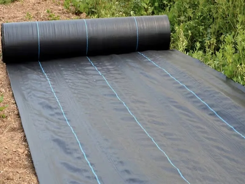 Tongfu Eco-Materials lance un tissu barrière contre les mauvaises herbes biodégradable haute performance