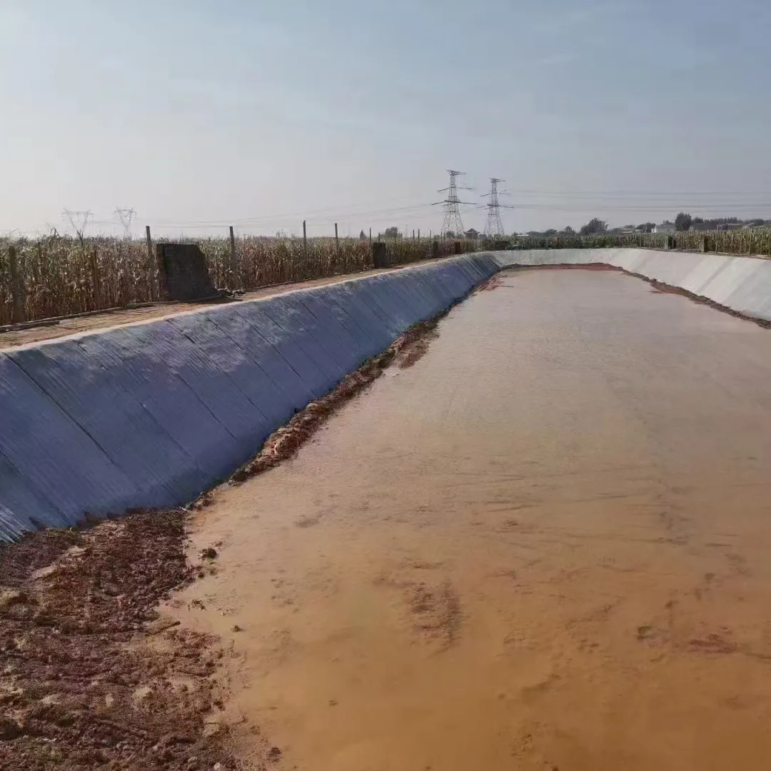 Couverture en béton pour étang à poissons