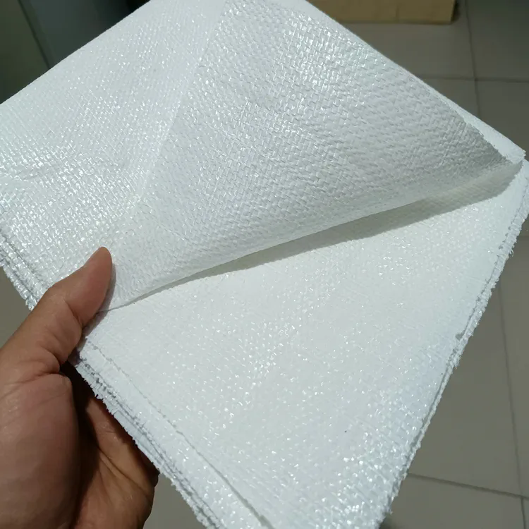 Le tissu barrière contre les mauvaises herbes standardisé et durable stimule le développement moderne des plantations vertes