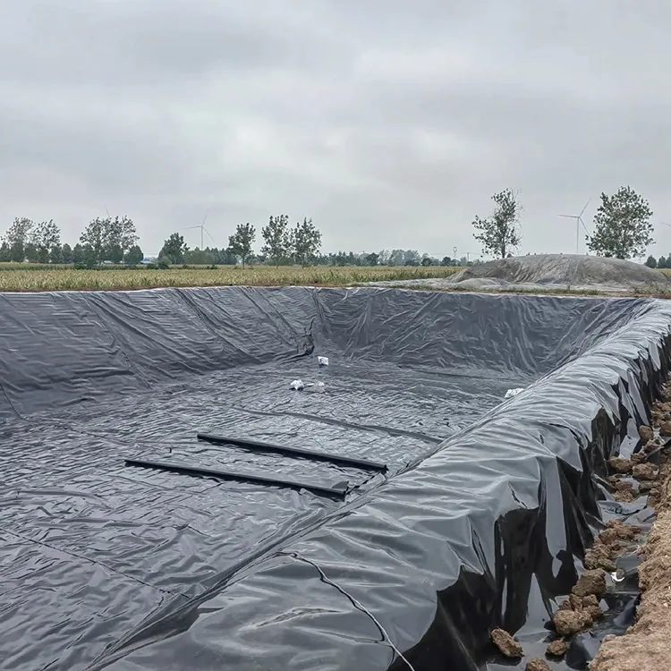 Revêtement géomembrane pour étang à poissons
