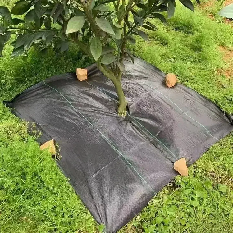 Pp Slit Film Woven Weed Barrier Fabric