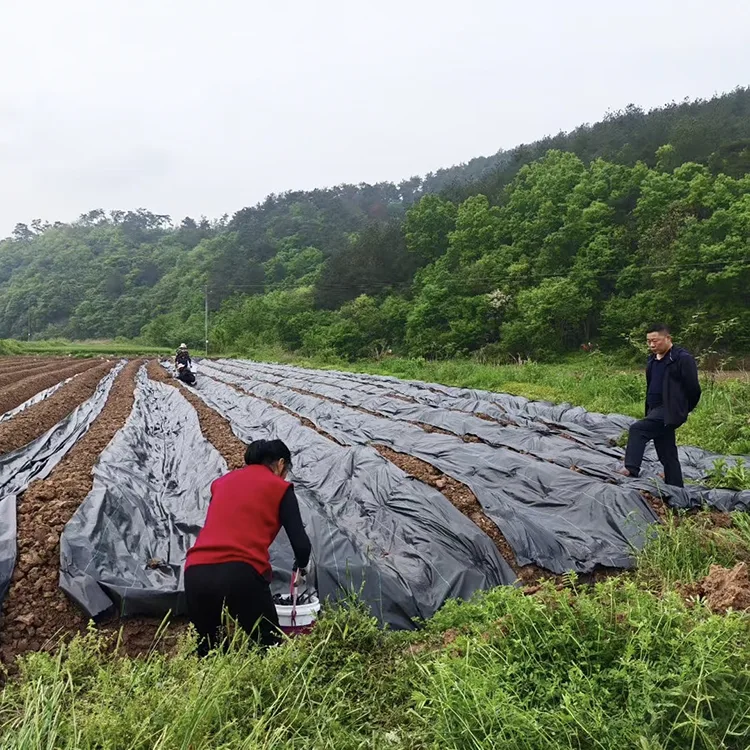 PE Woven Weed Barrier Fabric