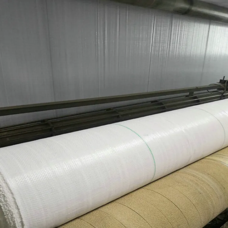 Tissu barrière contre les mauvaises herbes avec lignes de plantation